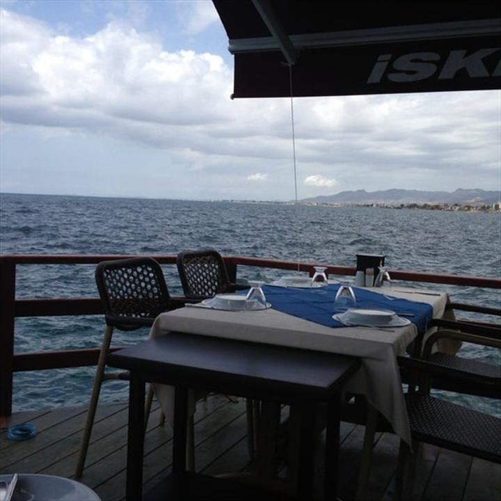 İskele Balık Fotoğrafları