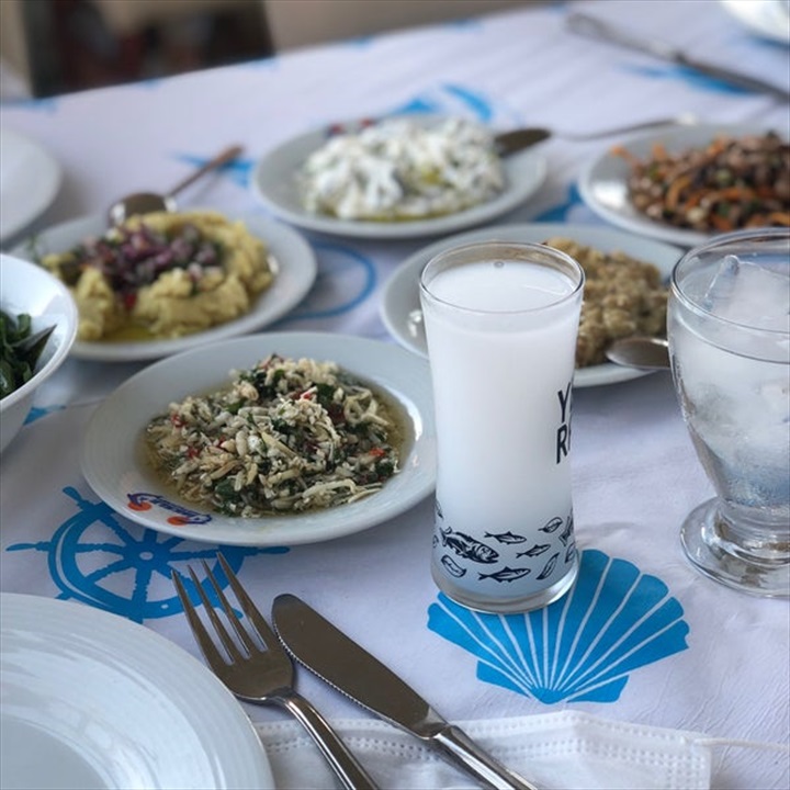 İskele Balık Fotoğrafları