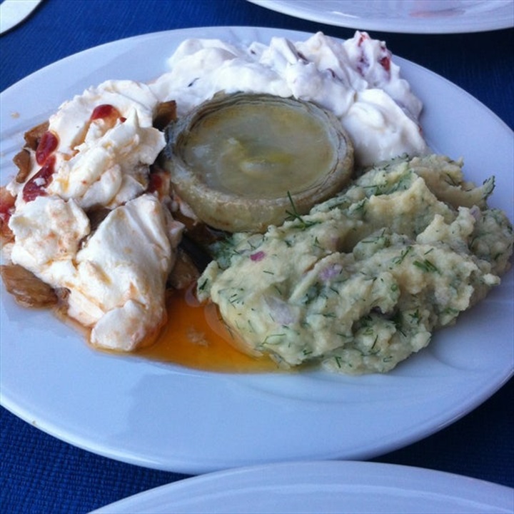 İskele Balık Fotoğrafları