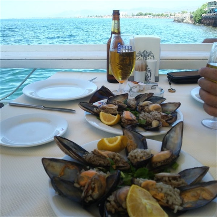 İskele Balık Fotoğrafları