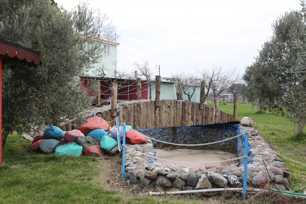 Taş Kemer Çiftliği Fotoğrafları