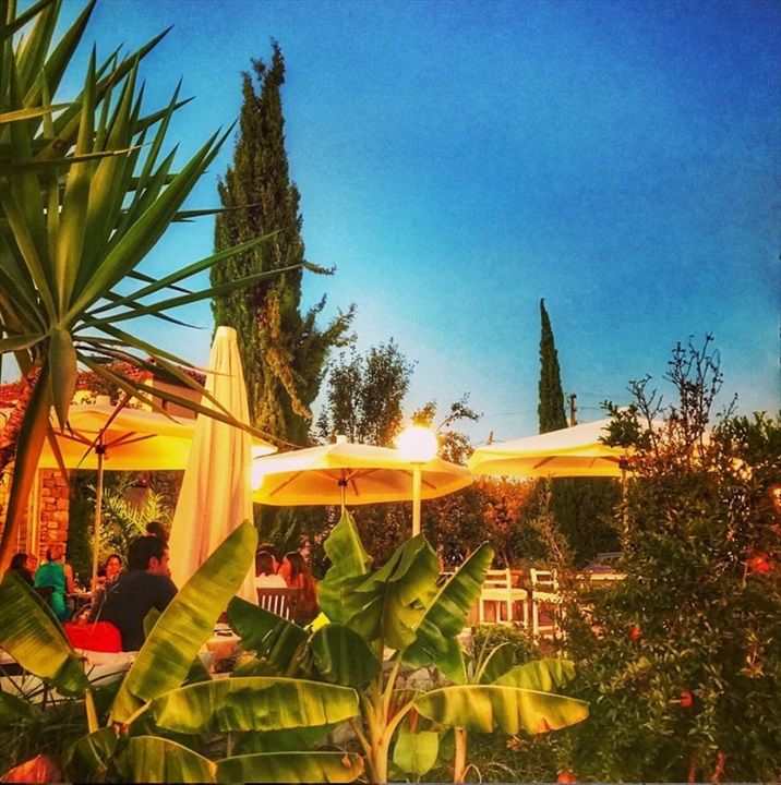 Urlice Vineyards Fotoğrafları