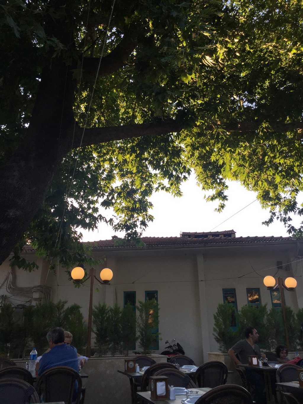 Agora Restaurant Fotoğrafları