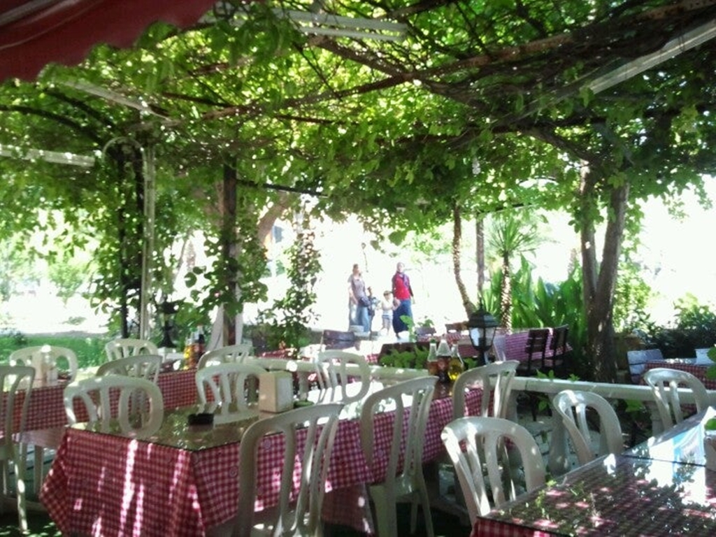 Petek Çöp Şiş Fotoğrafları