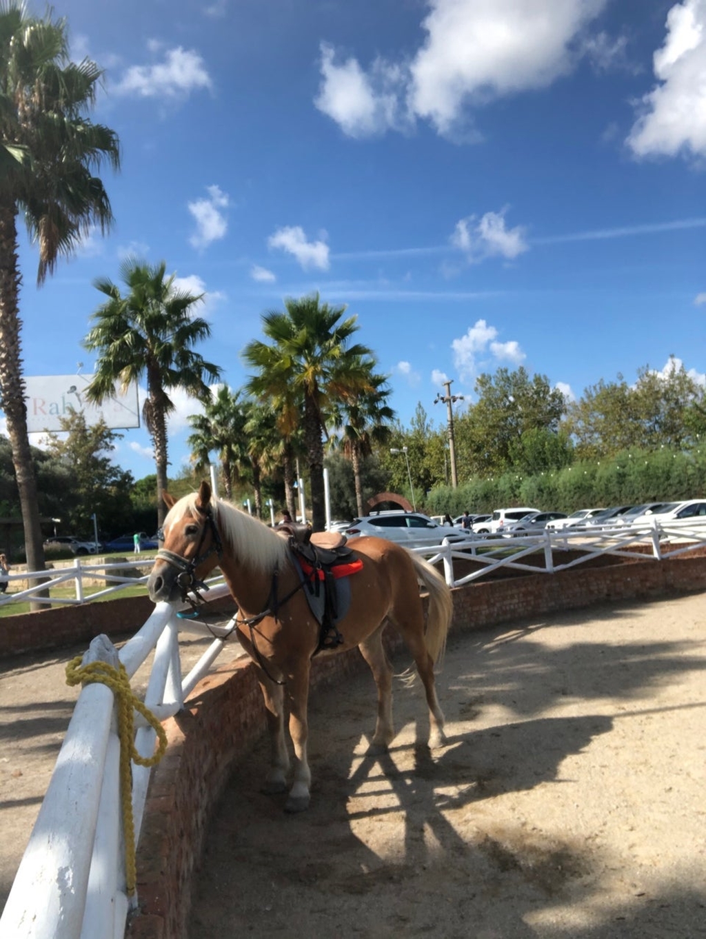 Rahatla Fotoğrafları