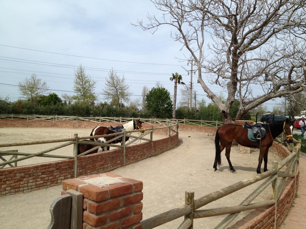 Rahatla Fotoğrafları