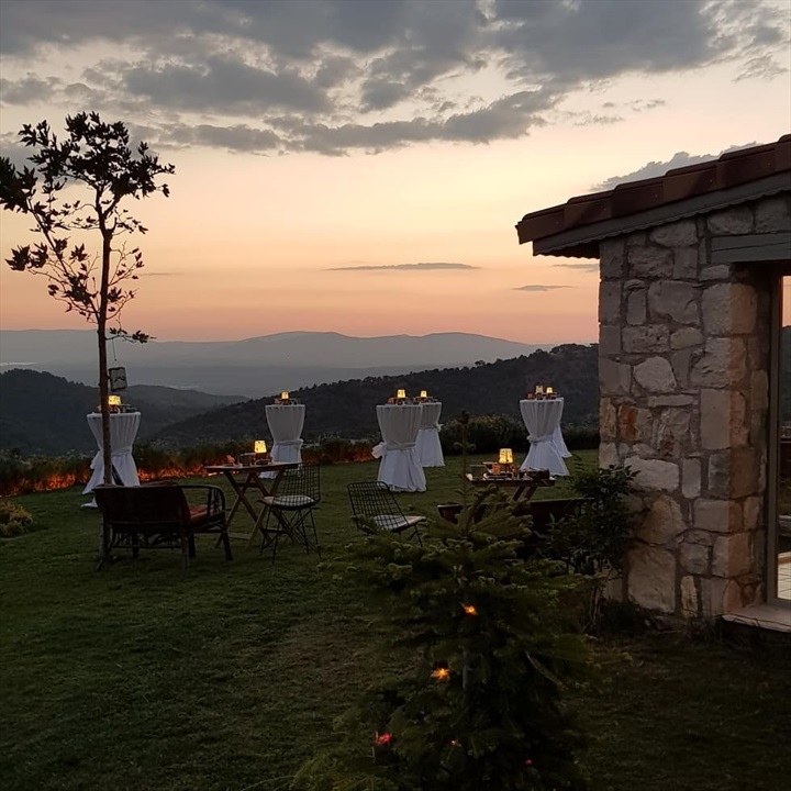 Ayda Şarapçılık Fotoğrafları