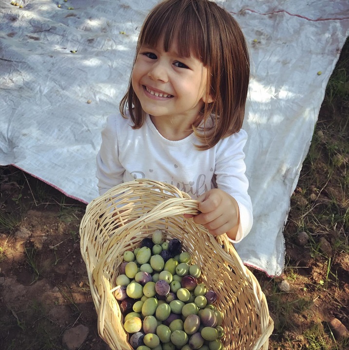 Kanai Zeytin Evi Fotoğrafları