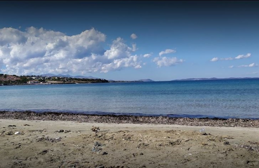 Ali Bostan Plajı Fotoğrafları