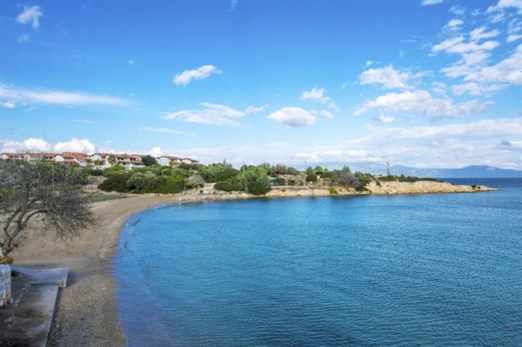 Dalyan Kocakarı Plajı Fotoğrafları