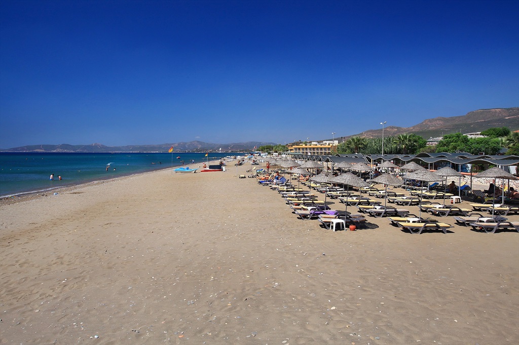 Club Cactus Paradise Plajı Fotoğrafları