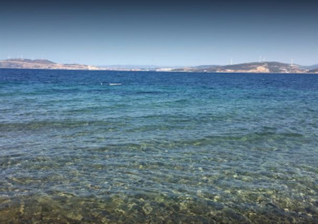 Petra Koyu Fotoğrafları