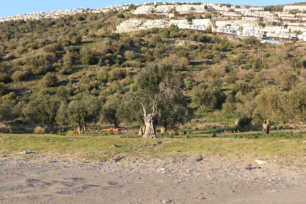 İlk Yankı Plajı Fotoğrafları
