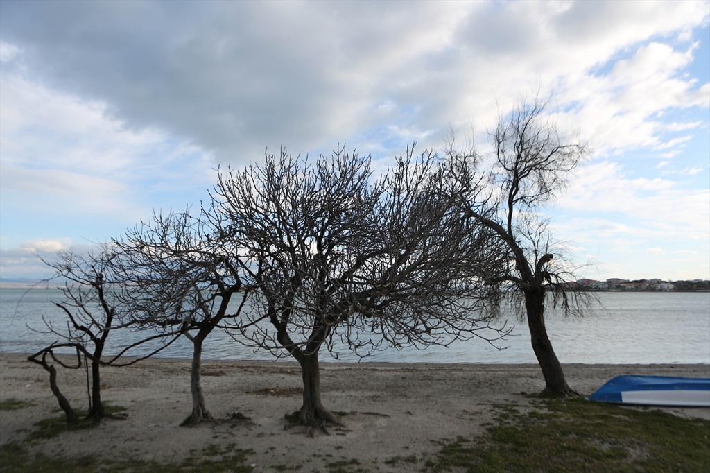 Halil Pasha Beach-Camping Plajı Fotoğrafları