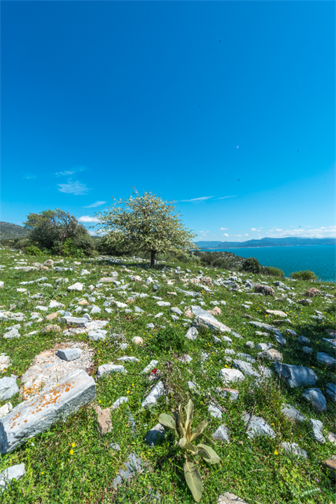 Notion Antik Kenti Fotoğrafları