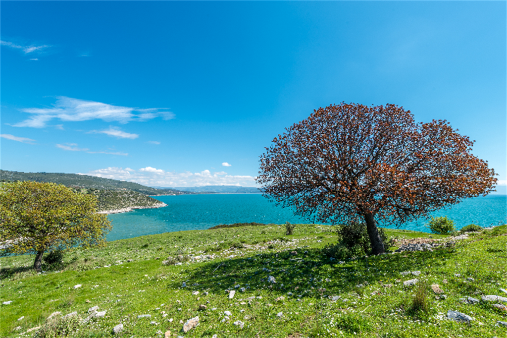 Notion Antik Kenti Fotoğrafları