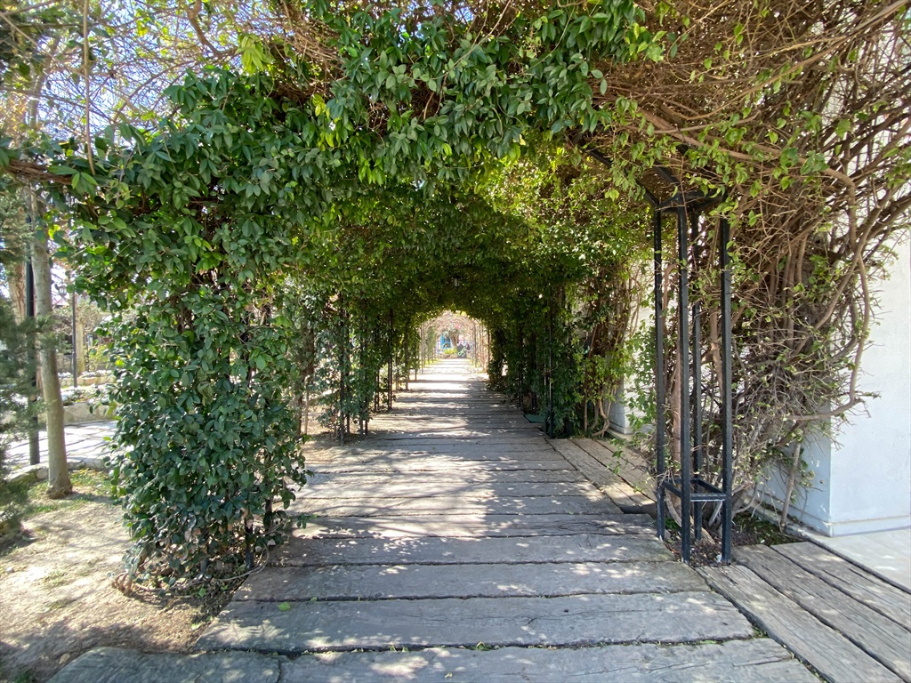 Urla Tarihi Belediye Binası Fotoğrafları