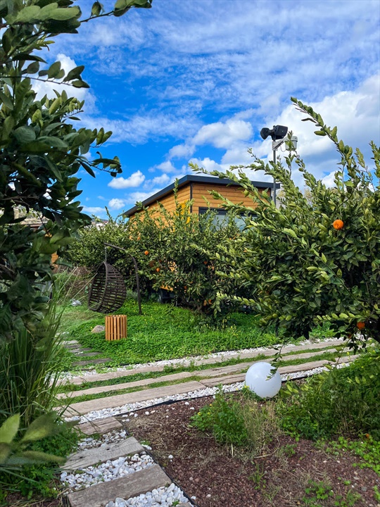 Tiny Town Otel Fotoğrafları