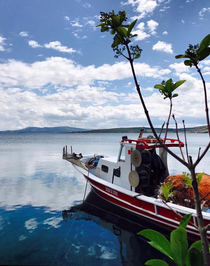 Özal'ın Yeri Balıklıova Fotoğrafları
