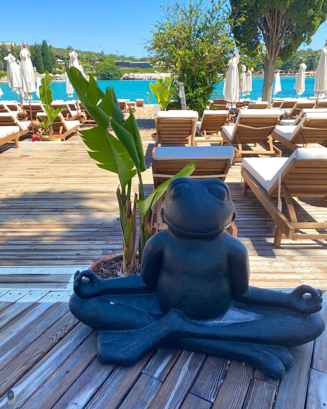 Yuzu Beach Fotoğrafları