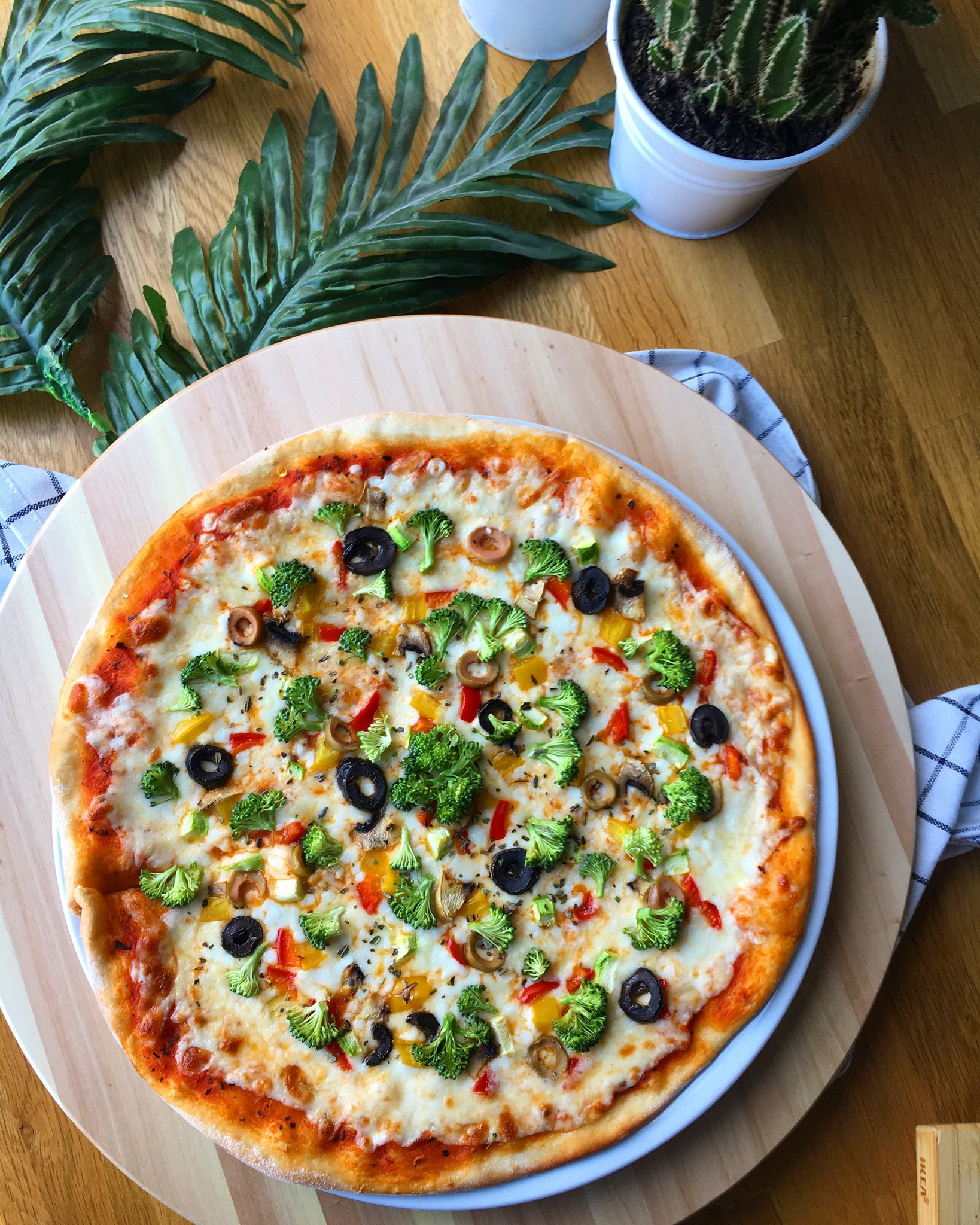 Cooksta Passage Bornova Fotoğrafları