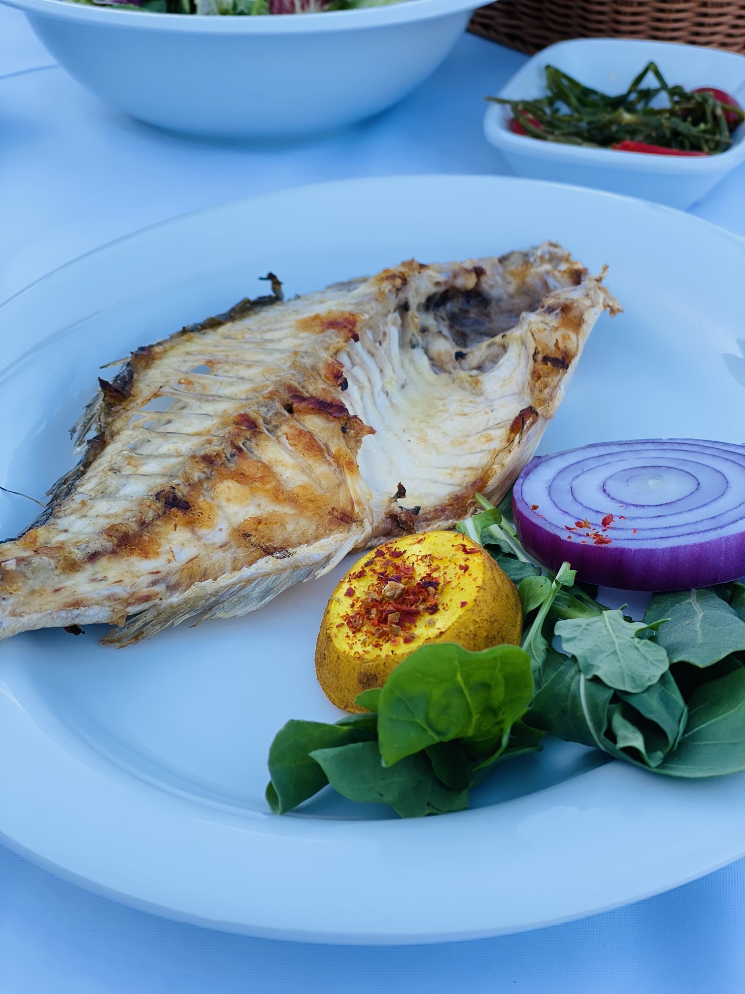 Dalyanköy Balıkçısı Fotoğrafları