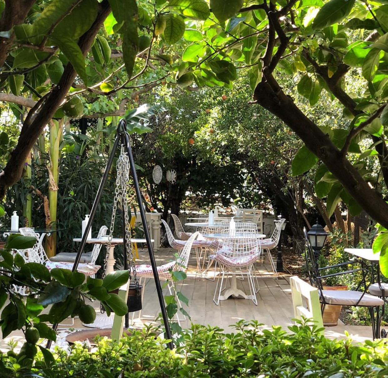 Dut Cafe Restaurant Fotoğrafları