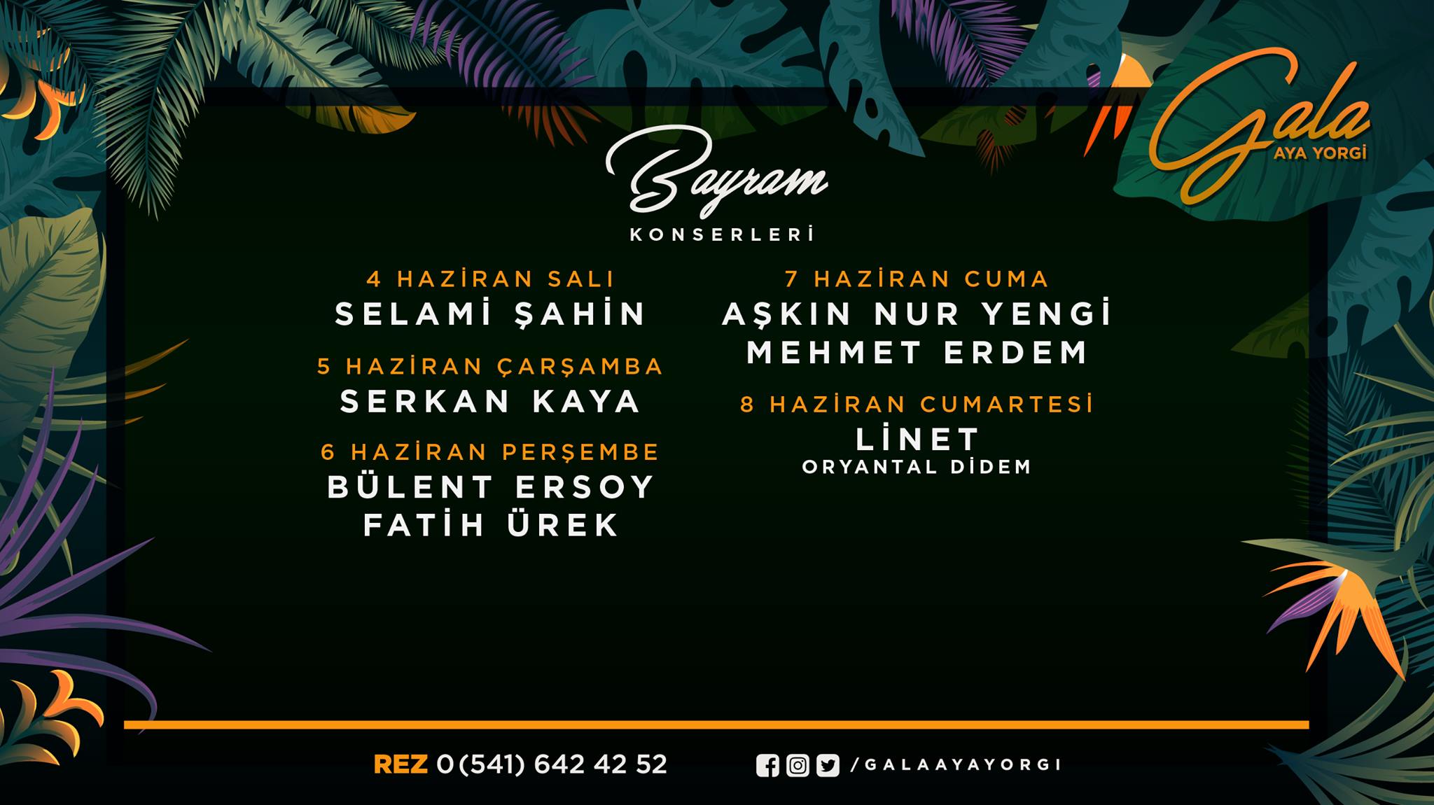 Gala Ayayorgi Fotoğrafları