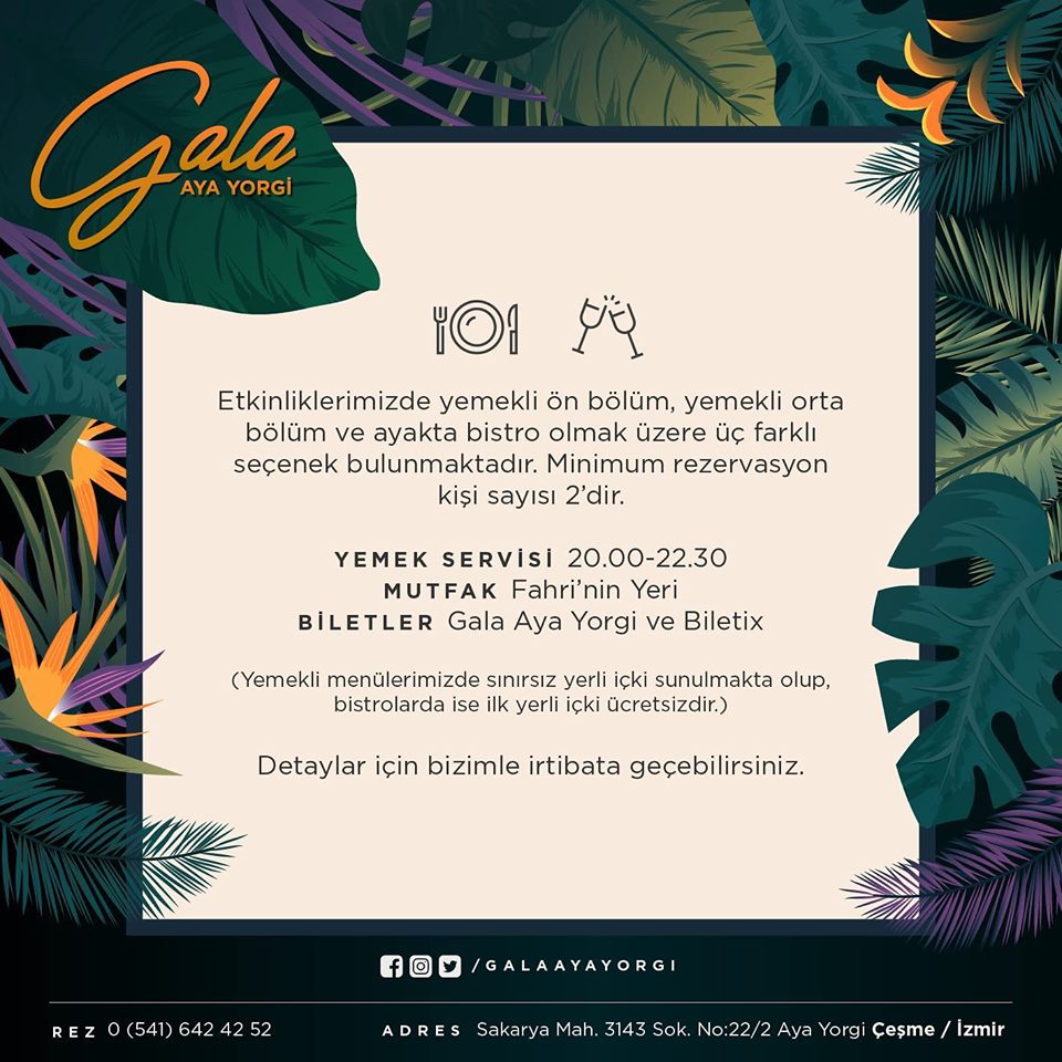 Gala Ayayorgi Fotoğrafları