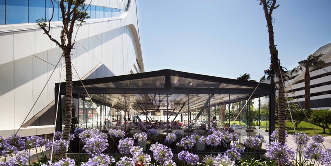 Emirgan Sütiş Fotoğrafları