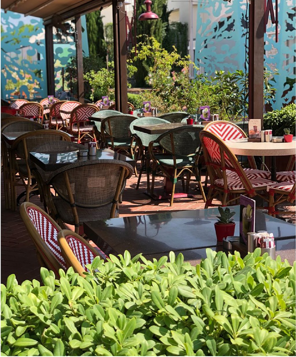 Mandolin Cafe Fotoğrafları