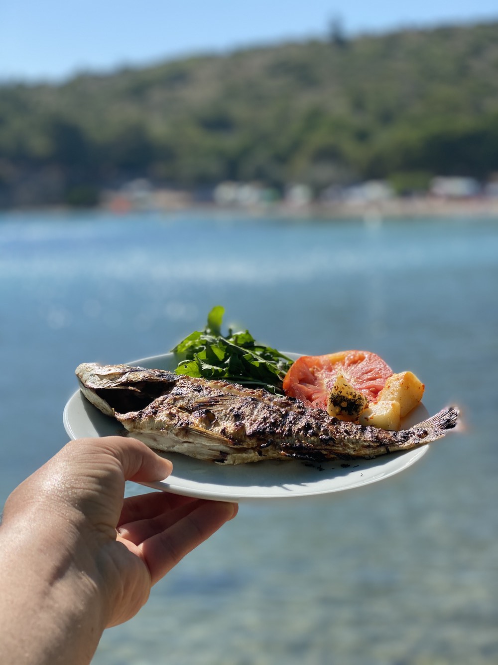 Manzara Restaurant Balıklıova Fotoğrafları