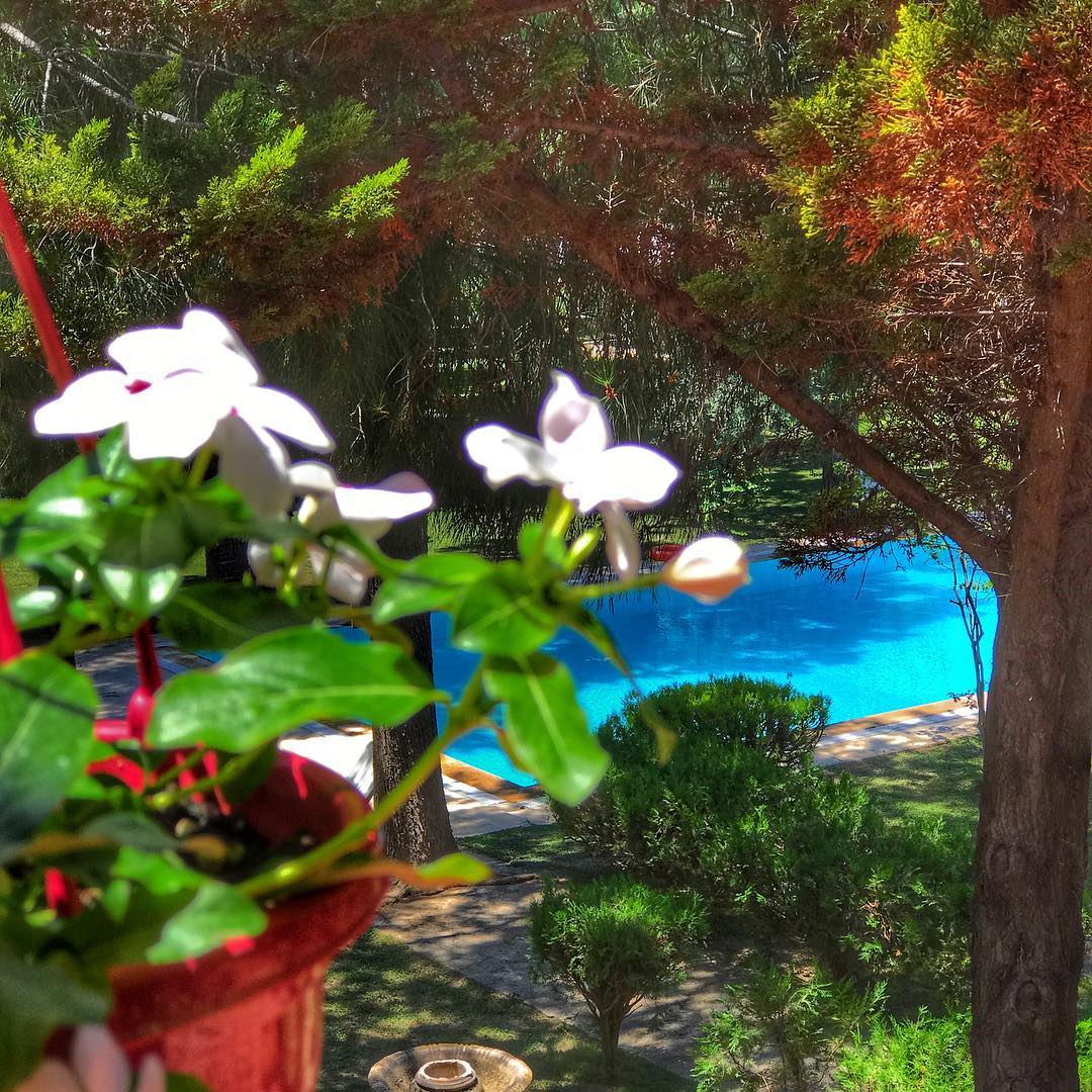 Rüzgaraltı Alaçatı Fotoğrafları