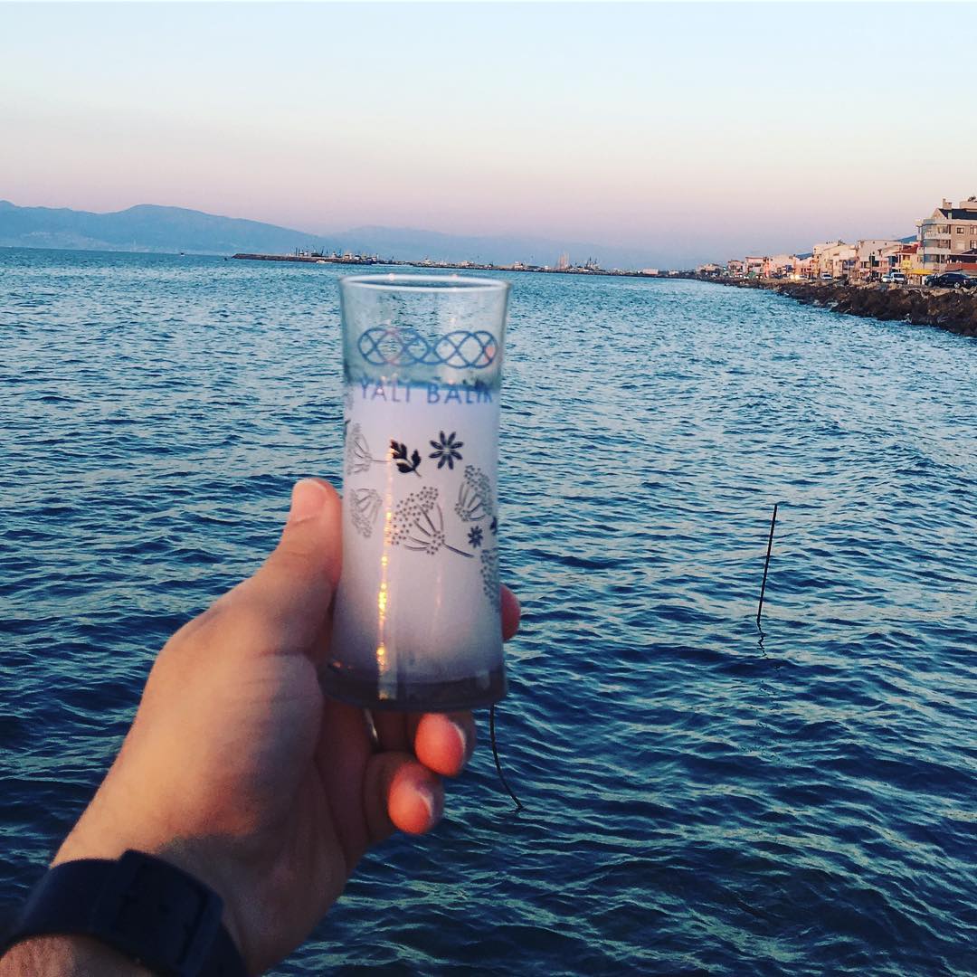 Yalı Balık Fotoğrafları