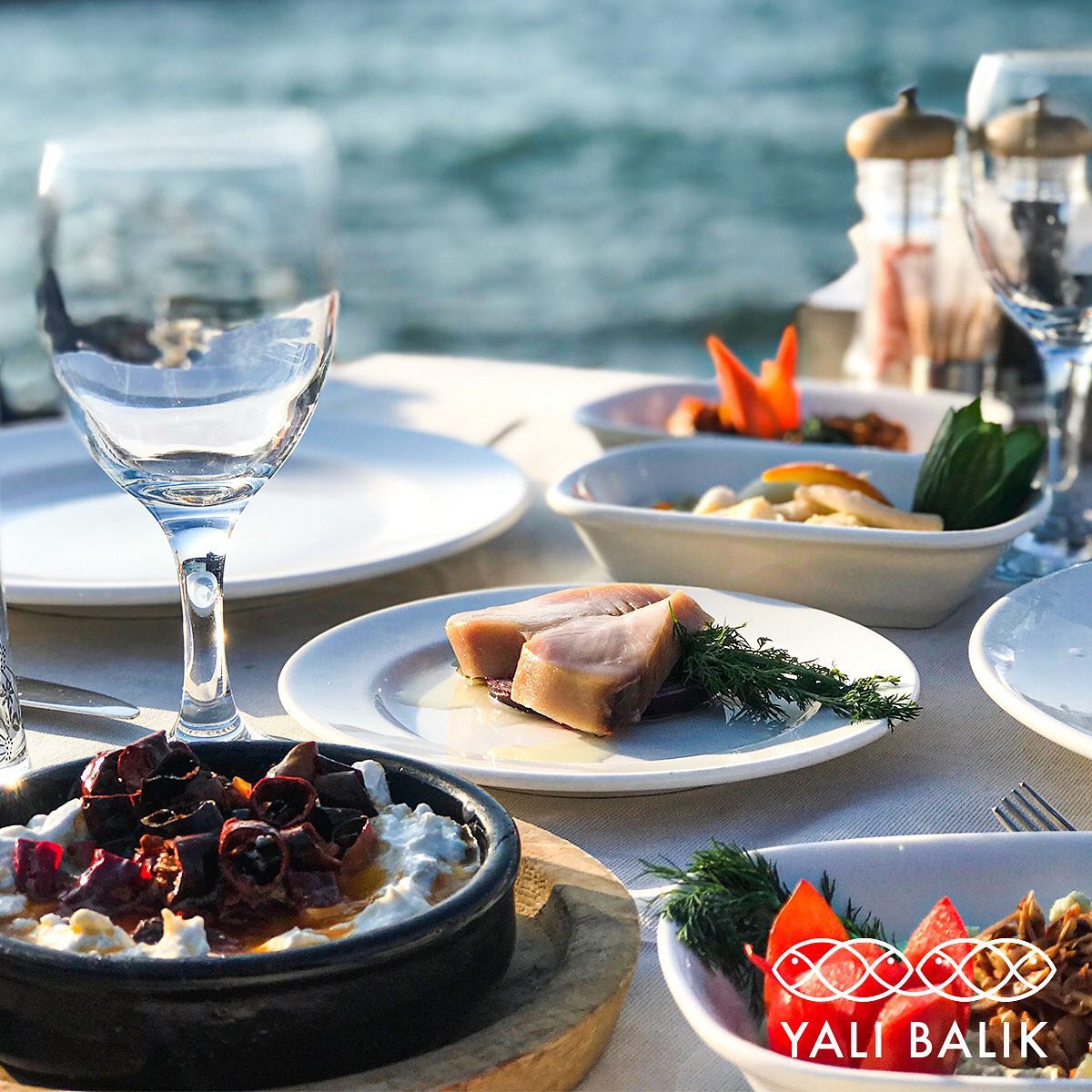 Yalı Balık Fotoğrafları